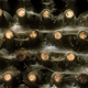 web covering old bottles of wine